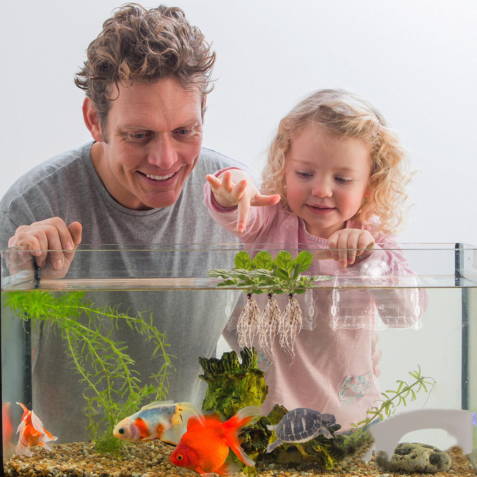 

Aquatic Plant Pot with Suction Cup Strong Durable Aquarium Landscaping Decor for Freshwater Saltwater Water Plant Cup 8X6.5CM