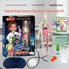 Children's Human Skeleton Model Toy Set for Anatomy Education and Body Structure Exploration