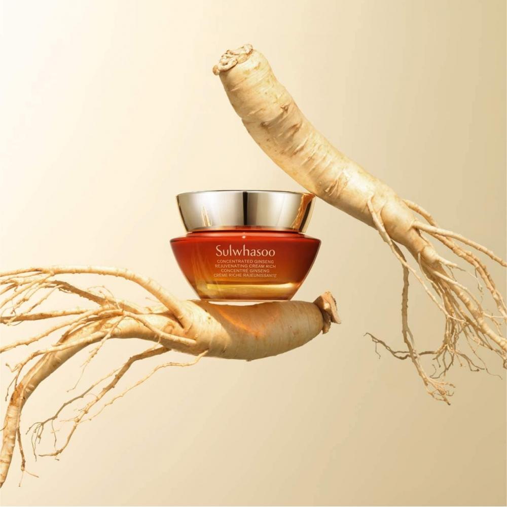 Sulwhasoo Concentrated Ginseng Rejuvenating Cream Rich 1.69 Oz   50 Ml