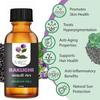 Olio Bakuchi Rotex Organic Oasis (Olio di Babchi) – 100% Puro e Naturale | Ricco di Retinolo Naturale | Olio Viso Anti-Età | Promuove la Crescita dei Capelli | Freddo