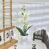 Orchid Artificial Plant For Wedding Decor With Realistic Design For Photography And Home Display
