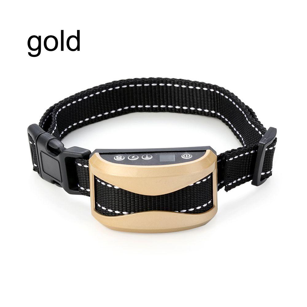 planetico dog collar