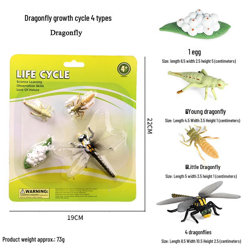 Mini Animal Growth Cycle Toys: Butterfly, Rooster, Ant, Frog, Sea Turtle, Dragonfly