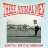 7inch Record THESE ANIMAL MEN  Youre Not My Babylon FLAT3 HiRise Recordi 1994 UK Rock Used