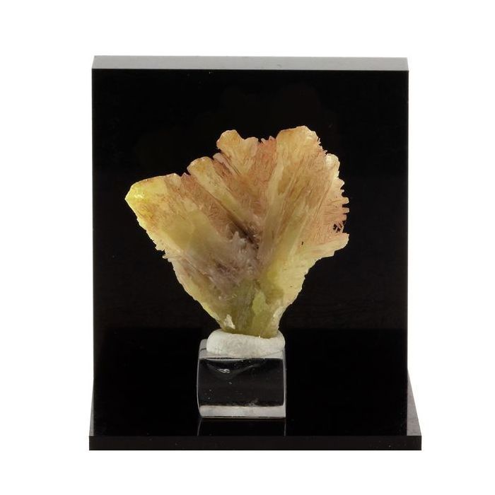 Pierres et Minéraux. Cerusite jaune. 64.3 ct. M'fouati Mine, M'fouati District, Congo.