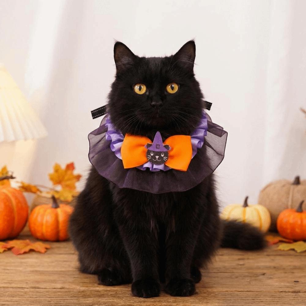 Cartoon Pet Halloween Costume Pumpkin Printed Halloween Dog Collar Halloween Cat Collar  Home Decor