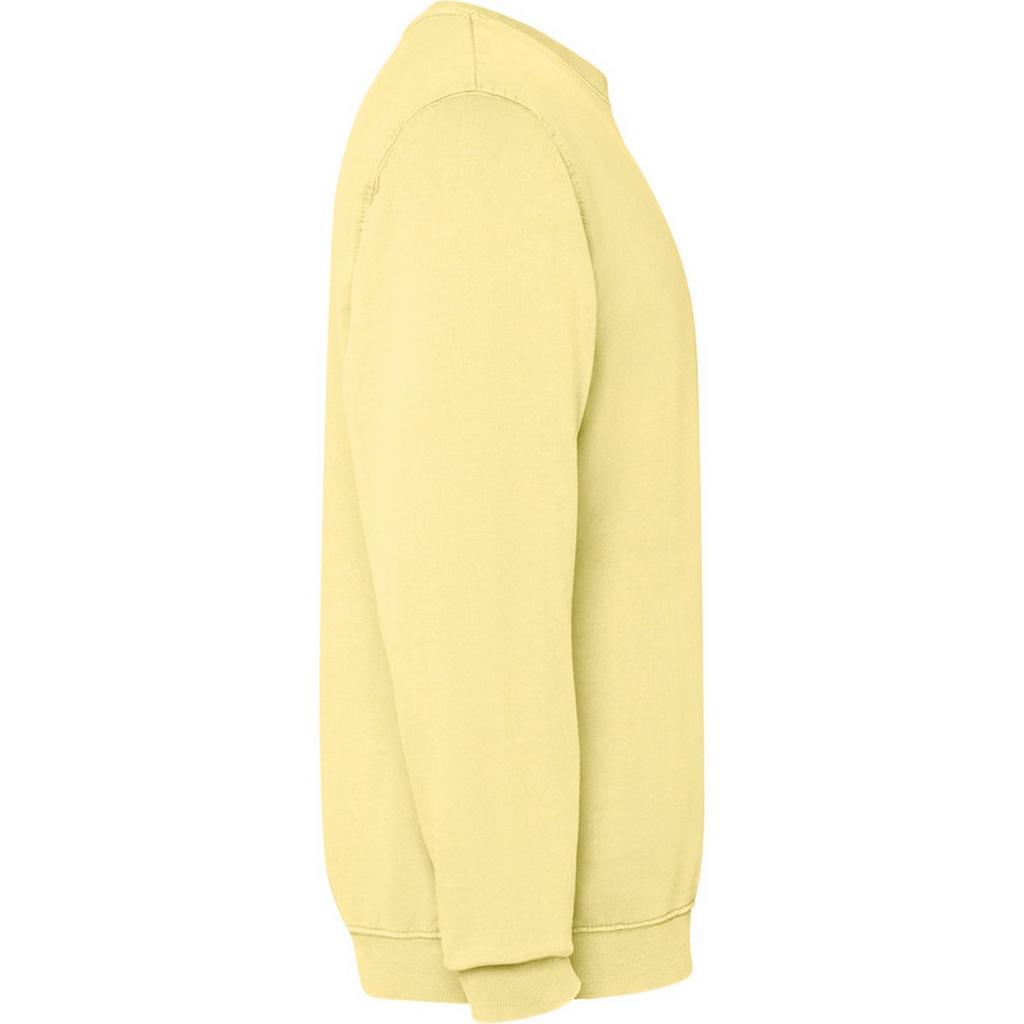 Roly Unisex Adult Jaya Crew Neck Sweatshirt