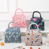Portable Handheld Insulated Students Bring Lunch Box Bag Thickened Aluminum Foil Lunch Bento Bag Outdoor Thermal Camping Picnic Bag for Women