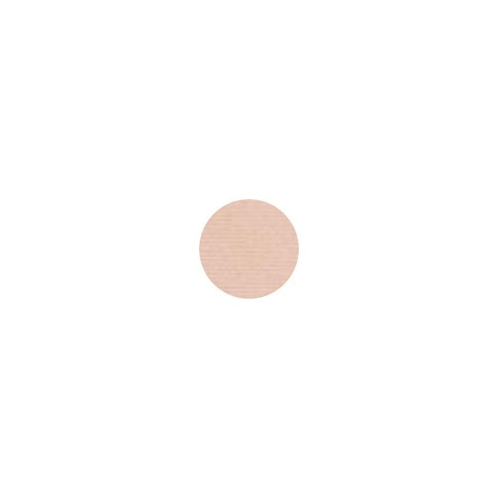 Powder - All - Matt Matte Powder Plus 010 - Transparent - Shine Control - Matte Complexion