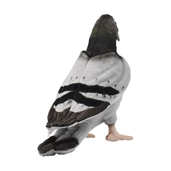 BH6299 HANSA pombo 29