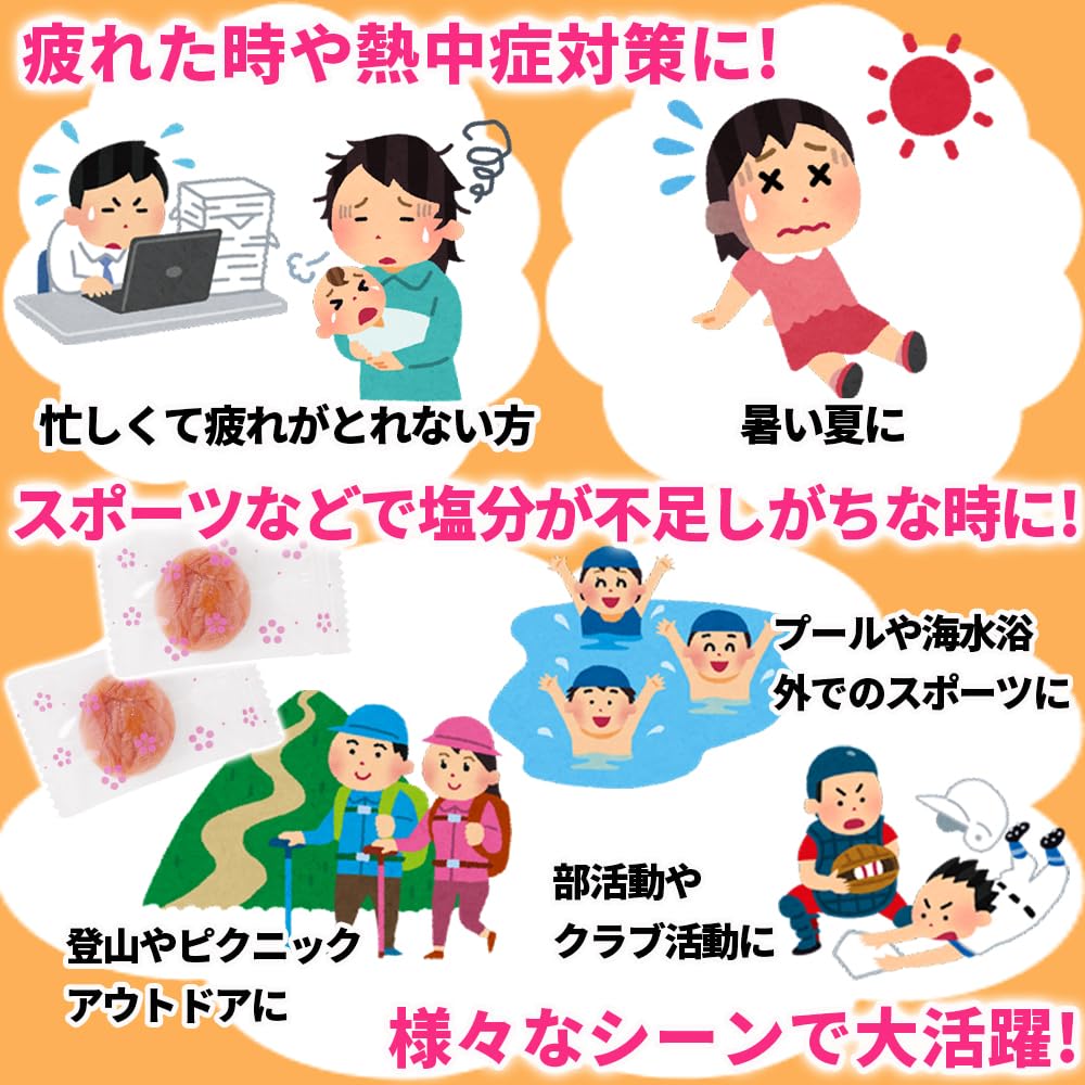 Reefcoco Kishu-Style Mild Dried Ume with Honey Pitted Ume 500g Stand-up Bag Wholesale Nanko Ume Pickled Plum Ume Sweets Ume Confectionery