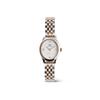 Daniel Wellington Ophelia Mini Women's Watch 25.5x22 Beans Link Two-Tone White and Rose Gold Elegant Fashion Gift for Women