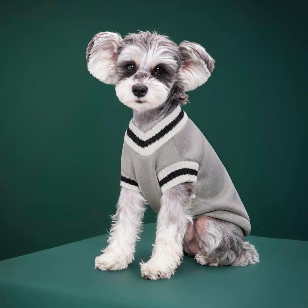 New Knitted V-Neck College Style Vest for Dogs - Autumn/Winter Fashion for Teddy & Pomeranian