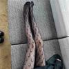 Frühling Sommer Mond Sterne Muster Damenstrumpfhosen Für Mädchen Schwarz Sexy Strumpfhosen Transparentes Netz Dünn Hoch Elastische Strümpfe