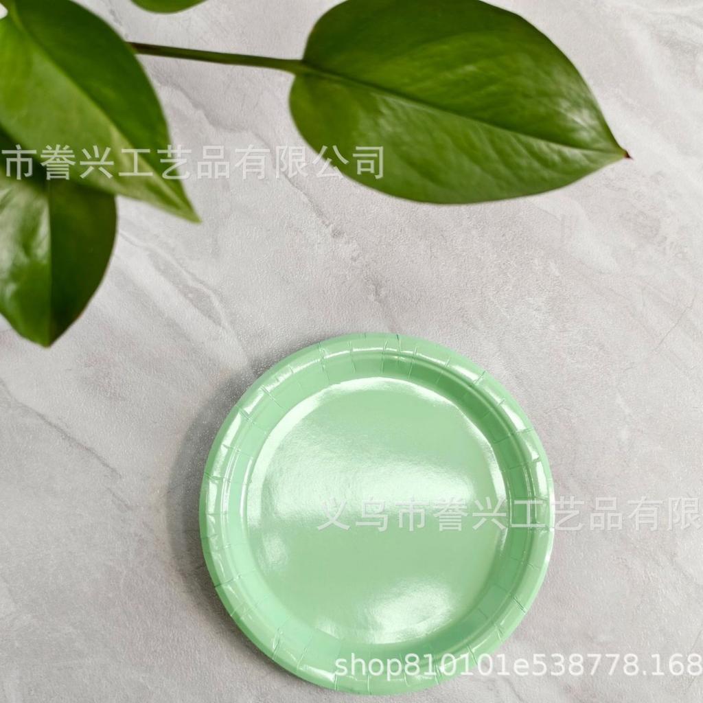 Promotion, Solid Color Theme Party Tableware Paper Plate Paper Tissue Supplies Outdoor Picnic 250G Disposable Party Paper Plate