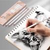 Highlight Eraser Pen for Sketching – Professional Pen-Type Eraser for Artists and Students