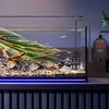 Mini Aquarium Heater Fish Tank Aquatic Heater Submersible Thermostatic Heater Adjustable Temperature 18-34°C Suitable for 2L