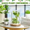 Glass Dome with Airhole Glass Cloche Bell Jar with Base Home Tabletop Display Clear Terrarium Container for Plant, Terrarium