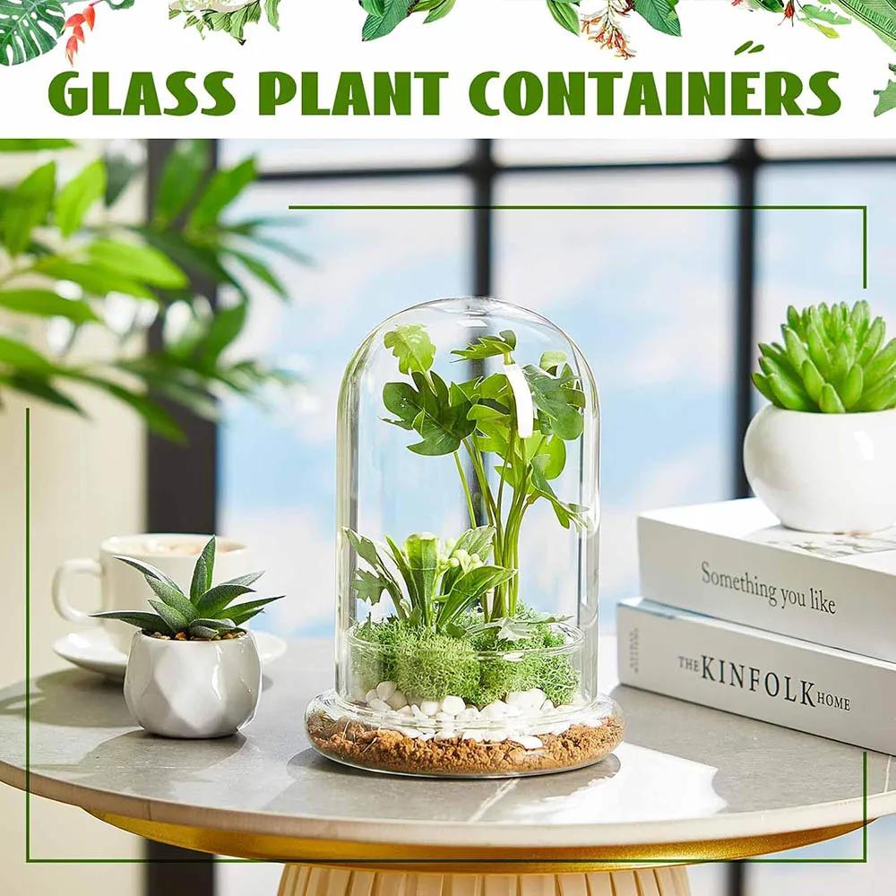 Glass Dome with Airhole Glass Cloche Bell Jar with Base Home Tabletop Display Clear Terrarium Container for Plant, Terrarium