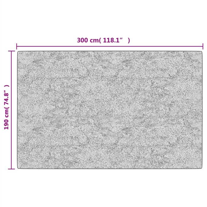 VidaXL Tapis lavable multicolore 190x300 cm antidérapant 136613