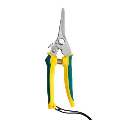 Stainless Steel Pruning Shears Safe Lock Non-slip Tree Branch Trimmer Comfortable Grip Shock Absorbing Garden Pruner
