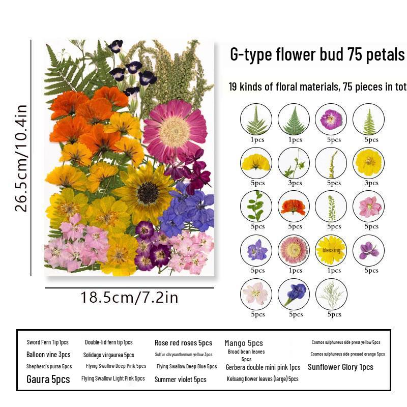 DIY Dried Flower Specimen Sticker Set for Kids: Handmade Pressed Flower Frames & Resin Bookmark Craft Kit