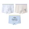 (3 Pack) Boys Modal Boxer Briefs Cute Cartoon Print Kids Underwear Soft Breathable Children's Boxer Shorts