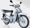 Compatible with Haojue Suzuki HJ110/HJ110-A Step-Through Motorcycle Exhaust Muffler Tailpipe.