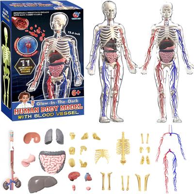 Samling och modeller – Figurer