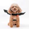 Pet Dog Cat Black Bat Wings Harness with Pumpkin Bells Halloween Costume Cosplay Cat Dog Clothes Cute Pet Supplies