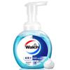 Walch Foaming Antibacterial Hand Soap (225ml Twin Pack)