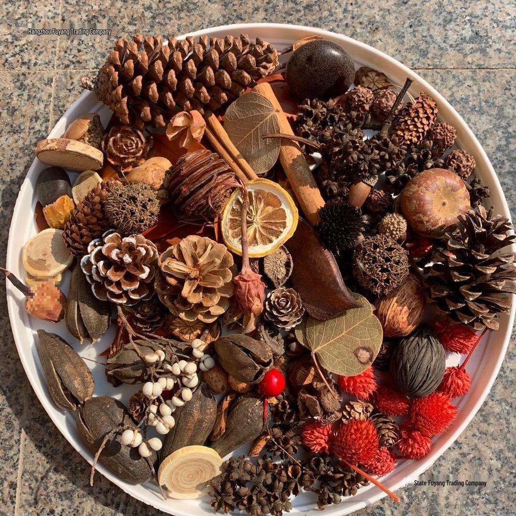 Christmas Pine Cones & Dried Flowers Pack - Eucalyptus, Pine Wood, Cotton, Handmade Photography Props