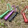 5 Pezzi Mini Torcia Portachiavi Torcia LED Colorata con Moschettone Batterie AA Incluse per Campeggio Escursionismo Ciclismo