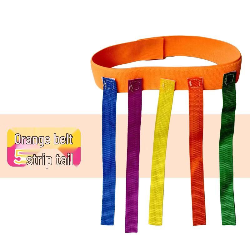 Kindergarten Catch-the-Tail Game Prop Set