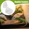 Chameleon Food Bowl Reptile Feeder With Suction Cup Habitat Decoration Pet Water Container Tray For Lizards Spider Tree Frogs