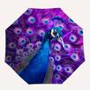 1pc Peacock Feathers Automatic Umbrella High Quality Canopy, Portable Folding Umbrella With, Ideal Gift for - Travel 169
