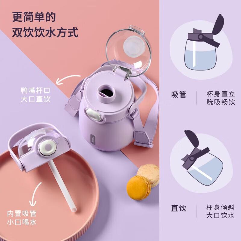 Vanow Portable Borosilicate Glass Water Bottle