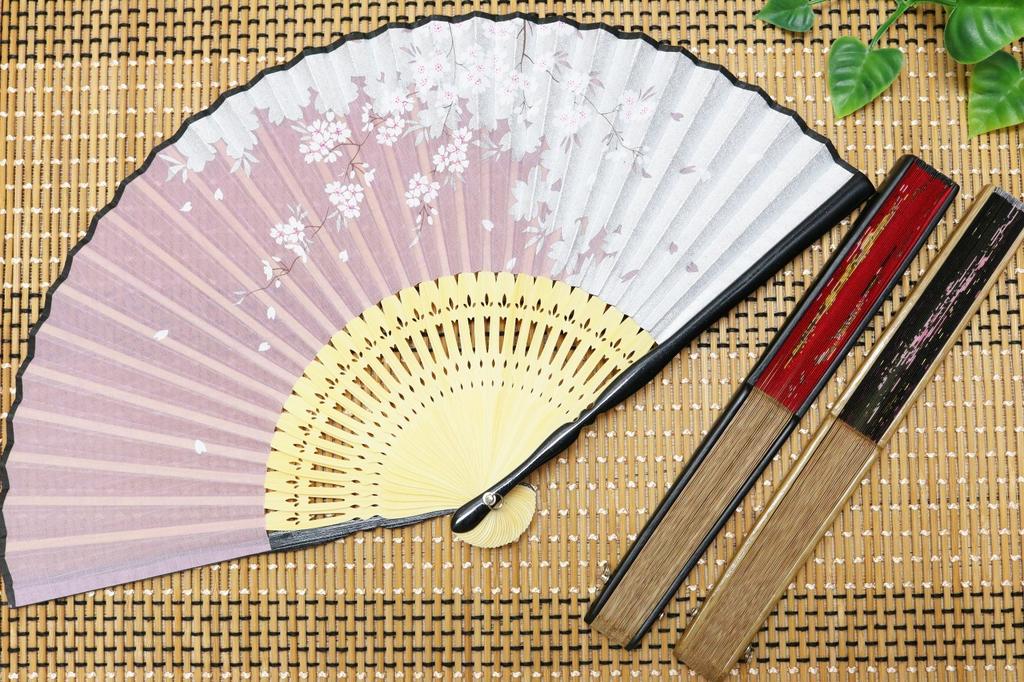 Asahio Faltfächer Kirschblüten und Herbstlaub 151003