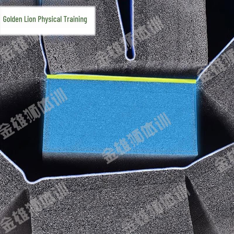 Golden Lion High-Density Martial Arts Training Mat