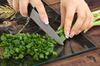 GLASS CUTTING BOARD 45x52 Leaf
