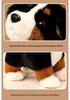 Adorable Bernese Mountain Dog Plush Toy – Realistic Sheepdog Cloth Doll Gift