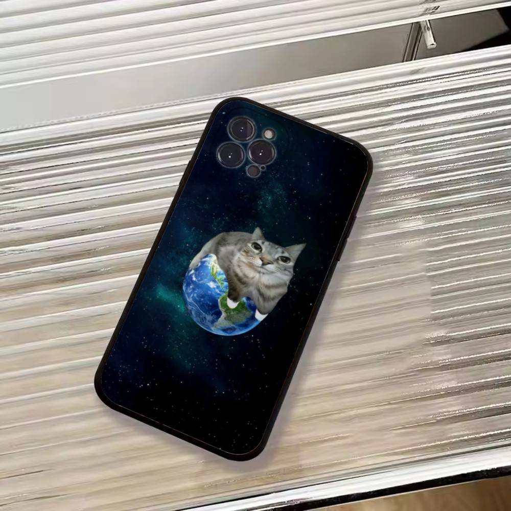 F-Lustige Tierkatze Handyhülle Silikon Weich Für IPhone 17 16 15 14 13 12 11 X XR Plus Pro Max Plus