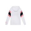 Jordan Air Sweatshirts Men's Hooded Moderate Regular BQ5655-100