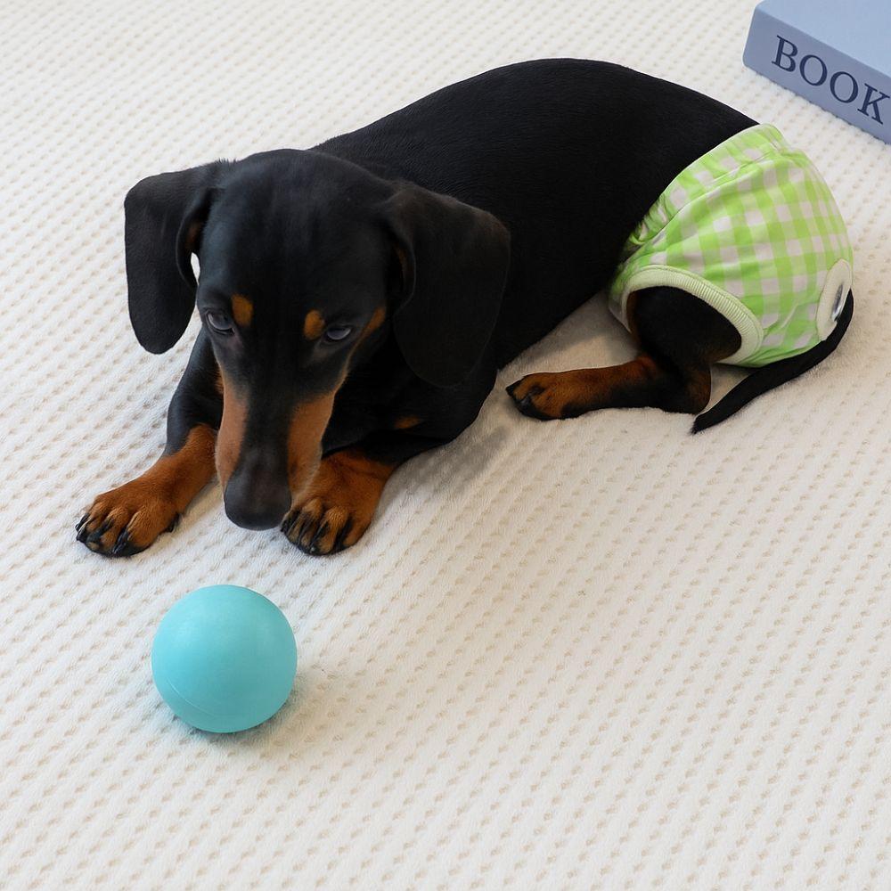 Breathable Dog Physiological Pants Plaid Dog Diaper Dog Shorts Dog Menstrual Pants Camp