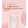 SKIN 1004 - Madagascar Centella Poremizing Deep Cleansing Foam