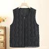 Vest Women's Vest High-end Short Vest Spring and Autumn Wear Down Cotton Clothes Winter Women's Vest