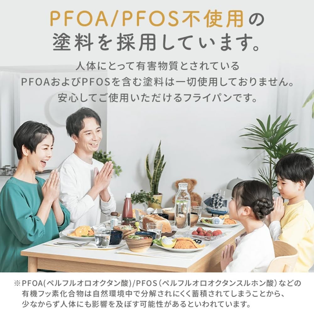 Iris Ohyama 20cm Frying Pan with Removable Diamond Dishwasher Oven Induction and Gas Black Metallic NTF-SEI20F Handle, Coated, Safe, Safe, Compatible,