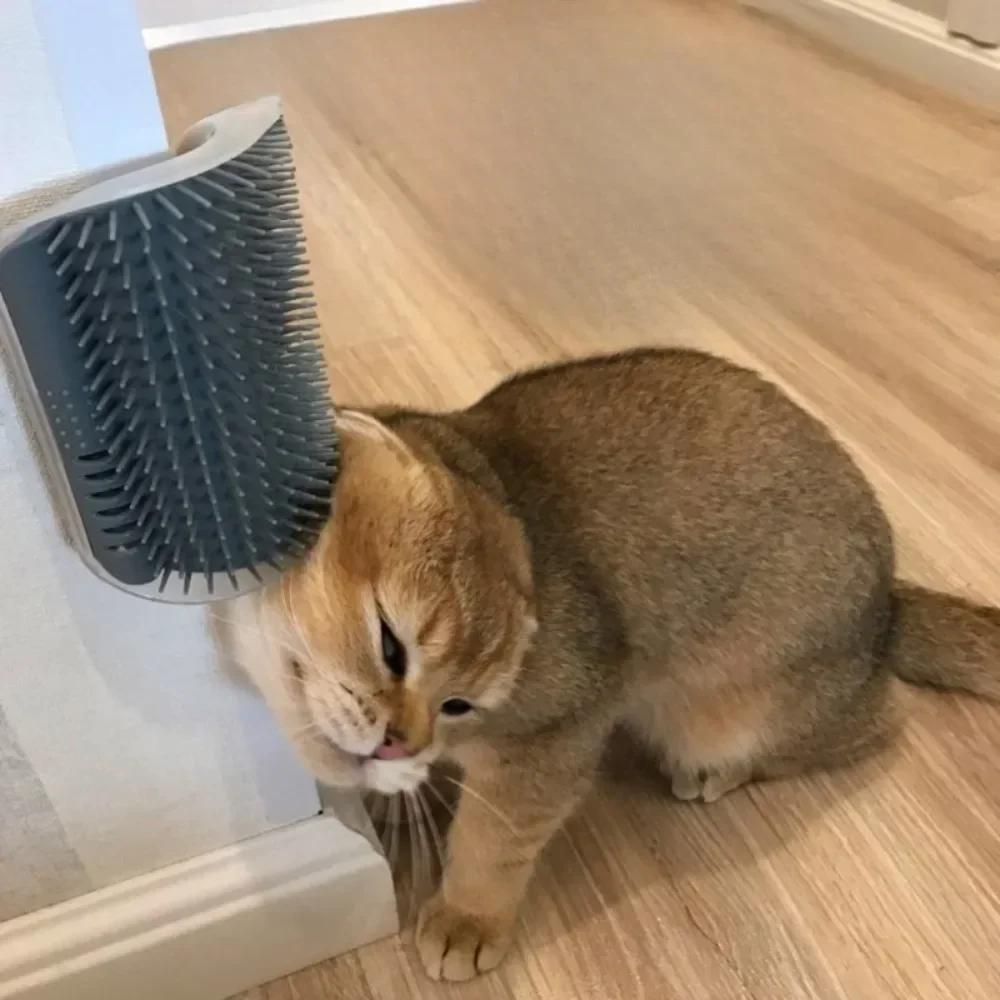 Cat Grooming Device Pet Wall Corner Combs Tool Household Cats Comfort Massage Utility Tools Small-scale Simple Pet Accessories
