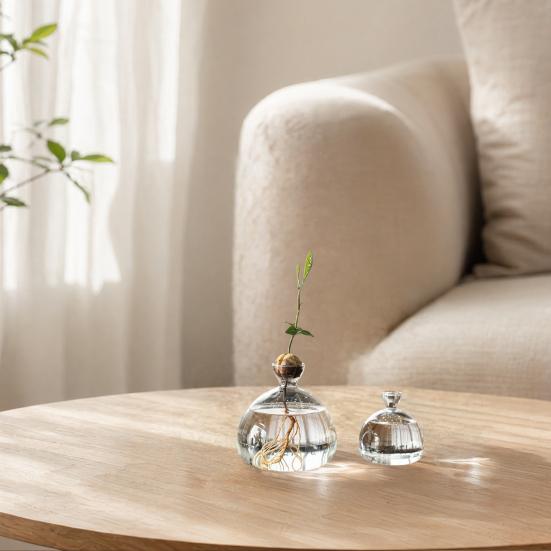 Hydroponic Plants Glass Vase Transparent Propagation Terrarium
