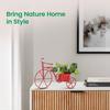 Cycle Shaped Metal Plant Stand for Indoor & Outdoor Use, Decorative Planter Pot for Flowers & Ornaments,